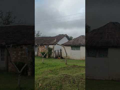 Arbolito , departamento de Cerro Largo 🇺🇾