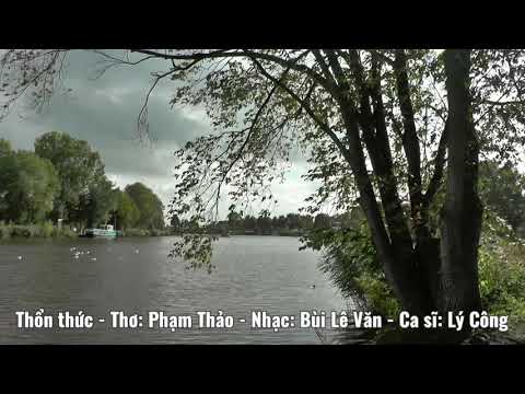 Thổn thức - Lý Công