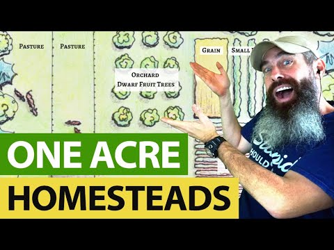 ONE ACRE Homesteads Can Give You ALMOST Everything