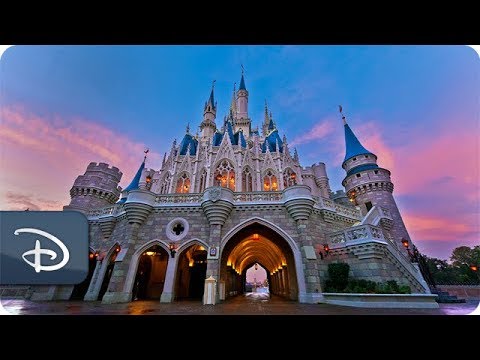 #DisneyParksLIVE: Sunrise at Magic Kingdom | Walt Disney World