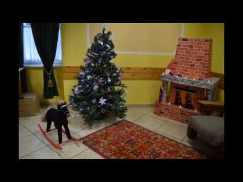 Lepsény Ádvent a szeretet napja