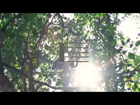 Chronic Law - Program