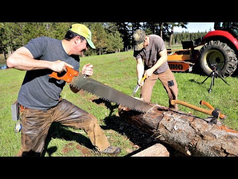 Japanese Saw V.S. Western Saw - Which Cuts Faster?
