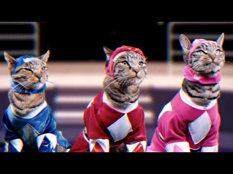 -Meowphin Time! | Mighty Morphin Meower Rangers | Episode 1 | Power Rangers Official