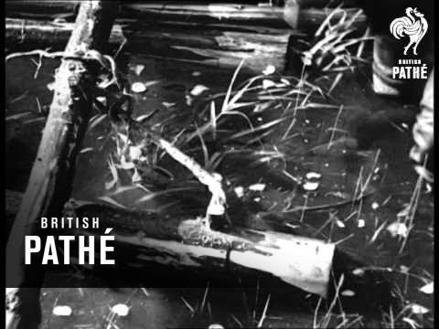 Peeps Through The Window Of The World No. 16 (1935)