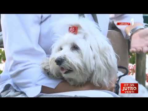 Prva TV - Vesti, Jutro sa Jovanom i Srđanom