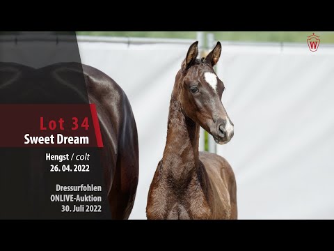 OnLive-Auktion Lot 34 Sweet Dream Hengst v. Selectric - De Niro