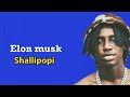 Shallipopi Elon musk [lyrics video]