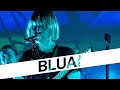 BLUAI — Hate You | StuBru LIVE LIVE | Studio Brussel