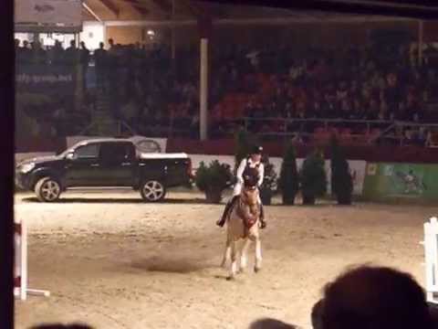 Quasi Gold MD beim Schaufenster der Besten 2014 Neustadt/Dosse