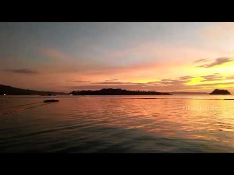 they just exist / gatton