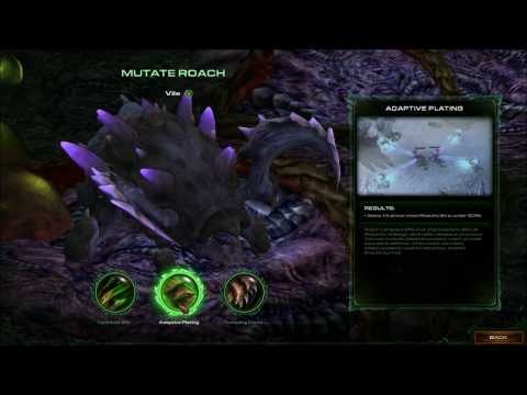 Starcraft 2 Heart of the Swarm - Evolution Pit Mutations & Evolution Mission Evolutions