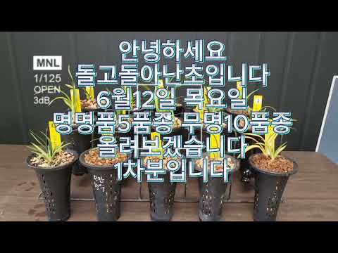 유튜브 썸네일
