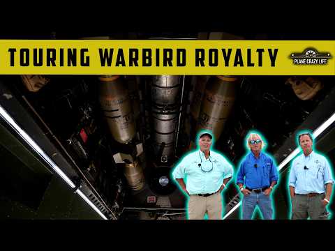 Plane Crazy Life and 2 more