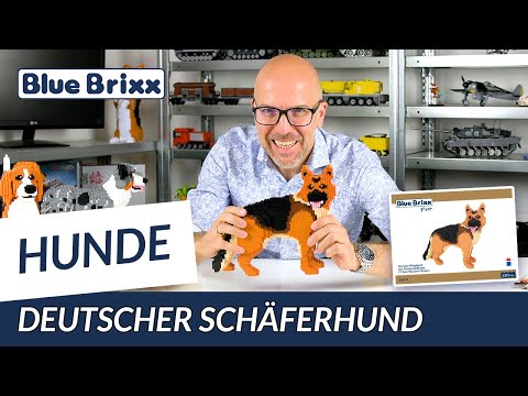 Deutscher Schäferhund, Hund