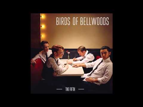 Birds of Bellwoods - The Fifth (Audio)
