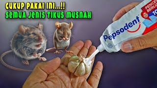 Download lagu Ternyata cuma begini, rumah aman dari TIKUS SELAMANYA !!Ramuan Pengusir Tikus mp3