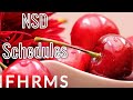 NSD Schedules in IFHRMS | Society Deduction NSD Schedules in IFHRMS | Society Deduction