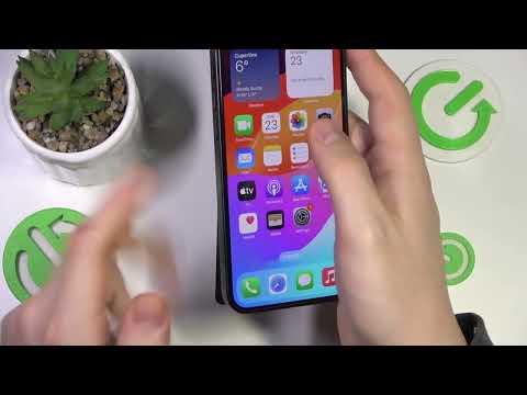 iPhone 16e – Vibration einschalten leicht gemacht