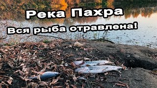 Ссылка