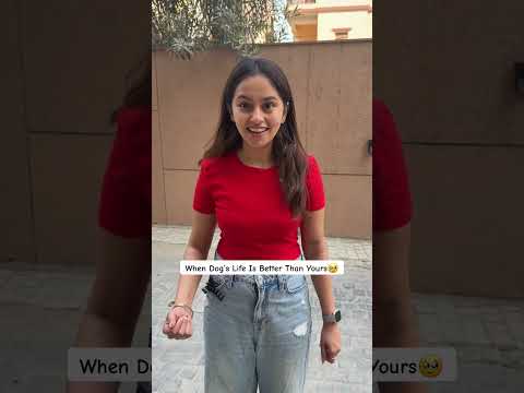 When Dog’s Life Is Better Than Yours😭#ytshorts #youtubeshorts #viral #funny #comedy #shortsfeed #yt