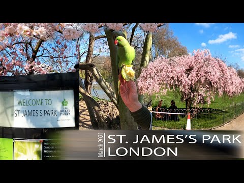 London Walking Tour | ST JAMES'S PARK | Du Lịch Khám Phá