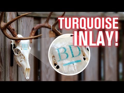 Turquoise Inlay in DEER SKULL! (How To)