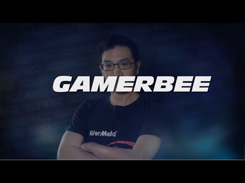 Player Spotlight: GamerBee