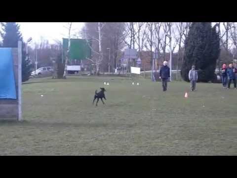 Georgia OB 2 à Hellemmes, le 01 03 2014