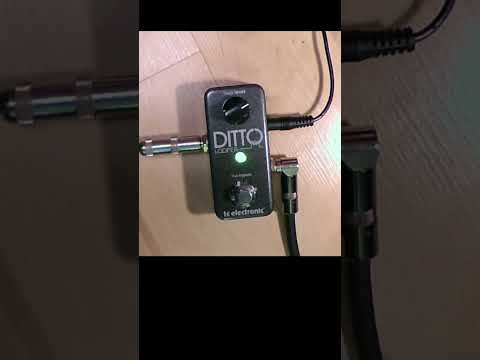 TC Electronic Ditto Looper 2013 - Present - Black image 7