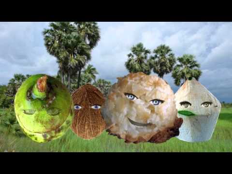 Little Coconut Song - Music Video