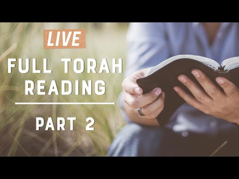 Full Torah Reading Live - (Part 2 - Numbers - Deuteronomy)