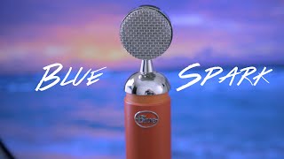 Video thumbnail for Blue Spark Review! - Best Budget XLR Microphone? by Jared Davidson
