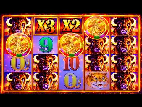 90 MINUTES ON THE HOTTEST BUFFALO IN THE CASINO