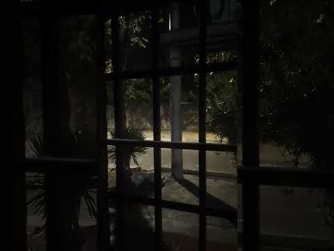 Lluvia y viento en Las Heras, Mendoza 14/04/2026 20:53 hs
