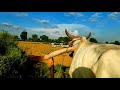 Pinda De Jaye Aa Sajjan Adeeb Whatsapp Status Punjabi Song Status Jatt Farmer Khet