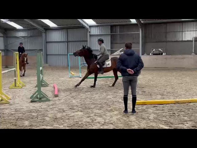 ESSENTIELLE VH GOUDEN BIT 