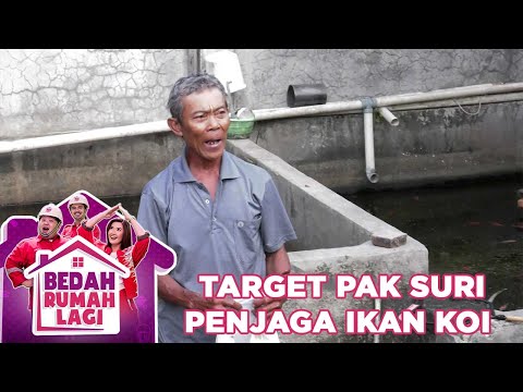 Target Pak Suri Seorang Pengurus Ikan Koi - Bedah Rumah Lagi