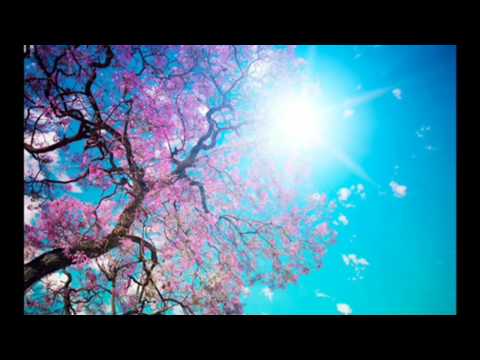 Bustrexx Ft. CoMa - Just Say