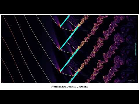 Self-Sustained Oscillations in a Supersonic Cascade: Coupled Shock-Boundary Layer Dynamics