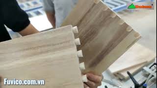 Test máy làm mộng mang cá (đuôi én) Woodmaster tại Long Khánh - Đồng Nai