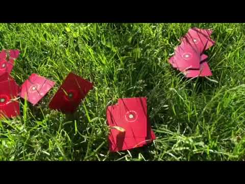 Your first turn playing Push Up Poppies (Draw - Play - Play - Draw)