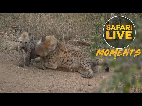 A Truly Heart Warming Sighting!