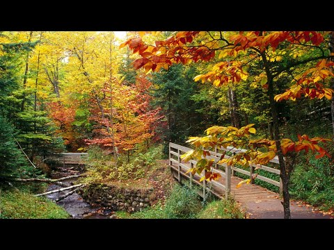 The Autumn Leaves By Nat King Cole