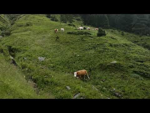 Vorsicht Rutschgefahr