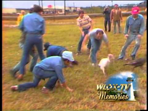 WLOX Memories   Turkey and Pig Chase   1983