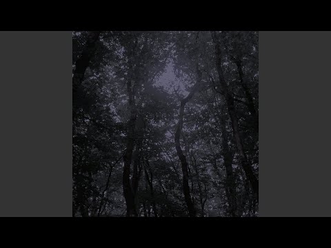 Video thumbnail for Untitled