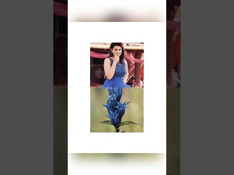 Hansika with flowers ❤️❤️❤️