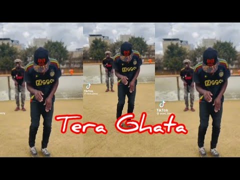 NEHA KAKKAR - TERA GHATA (tiktok dance challenge) DC Mnaree/ KENYAN TIKTOK TRENDS 2025.