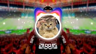 MAMA EU (SLOWED + REVERB) - MC J Mito, Os Feras do Pizeiro